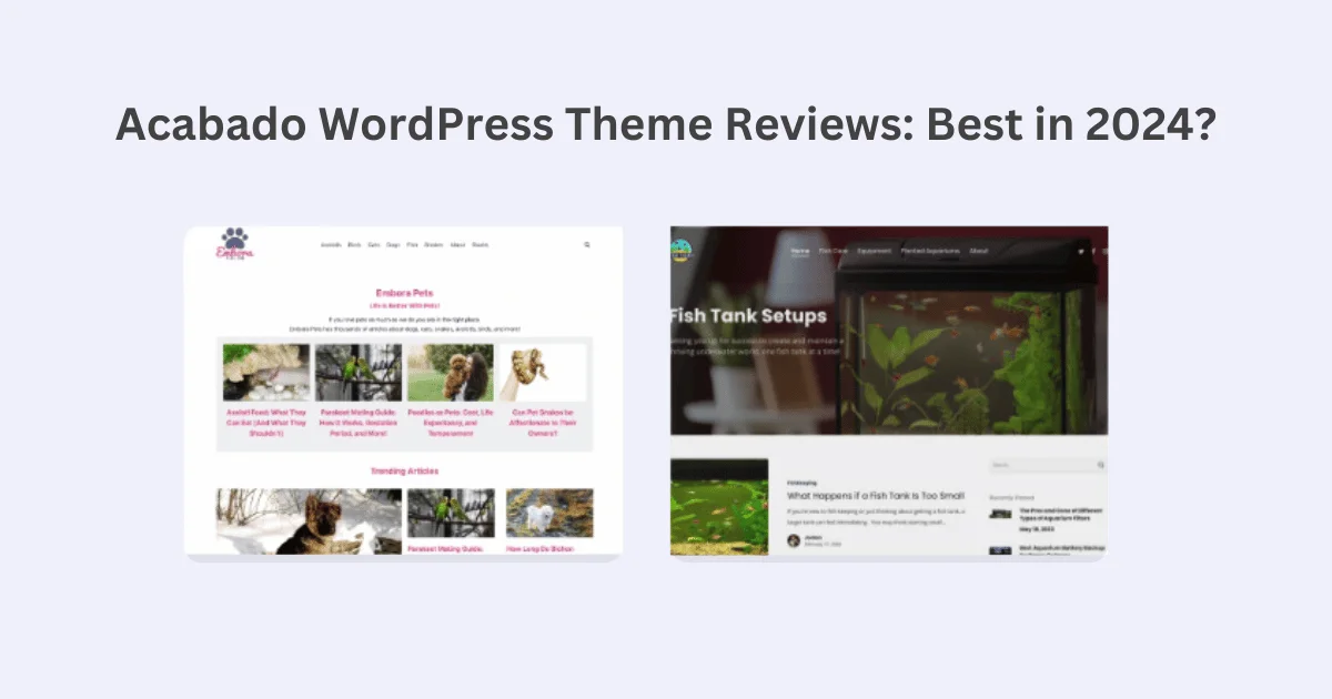 Acabado WordPress Theme Reviews: Best in 2024?